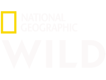 Nat Geo WILD